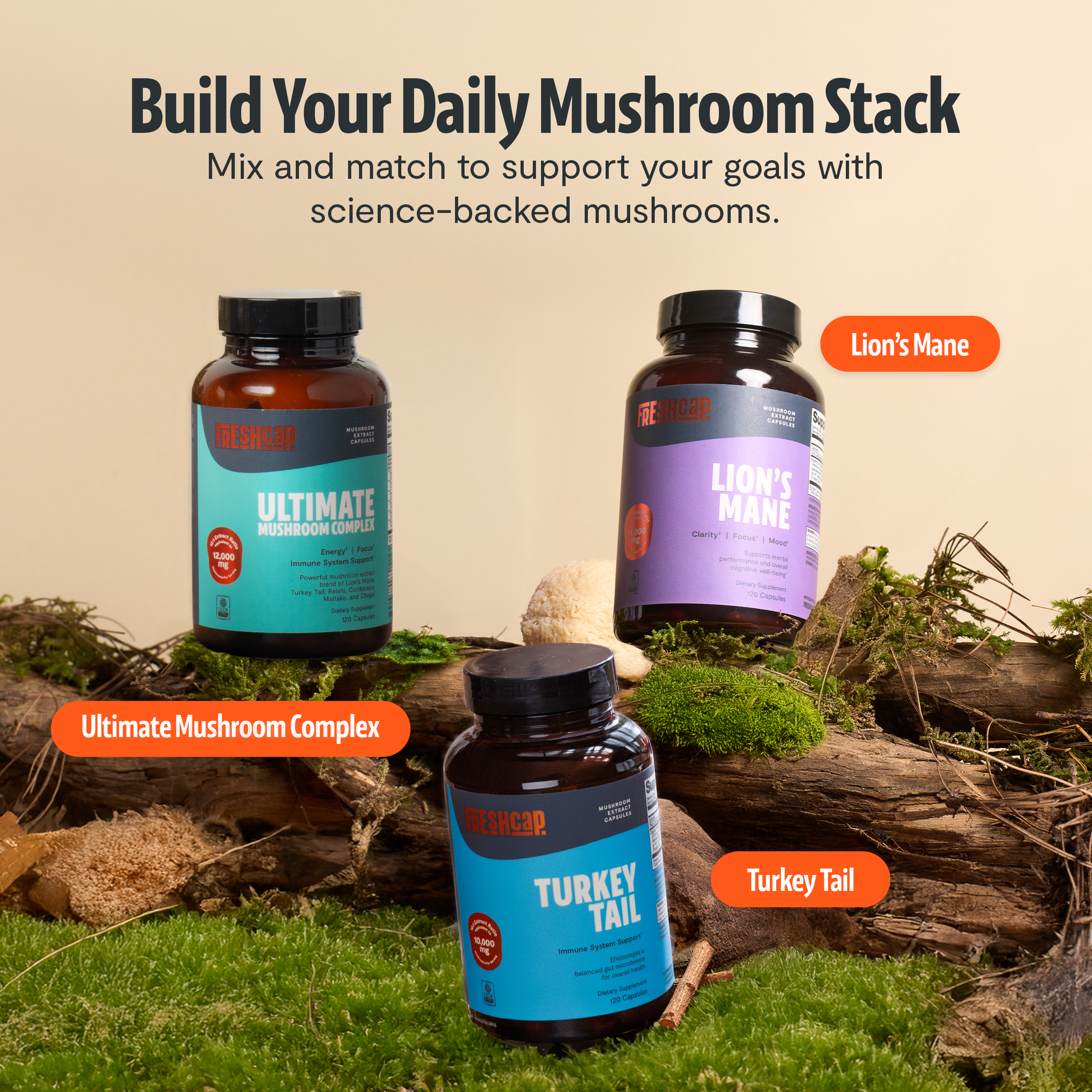 Supplements & Nutrition